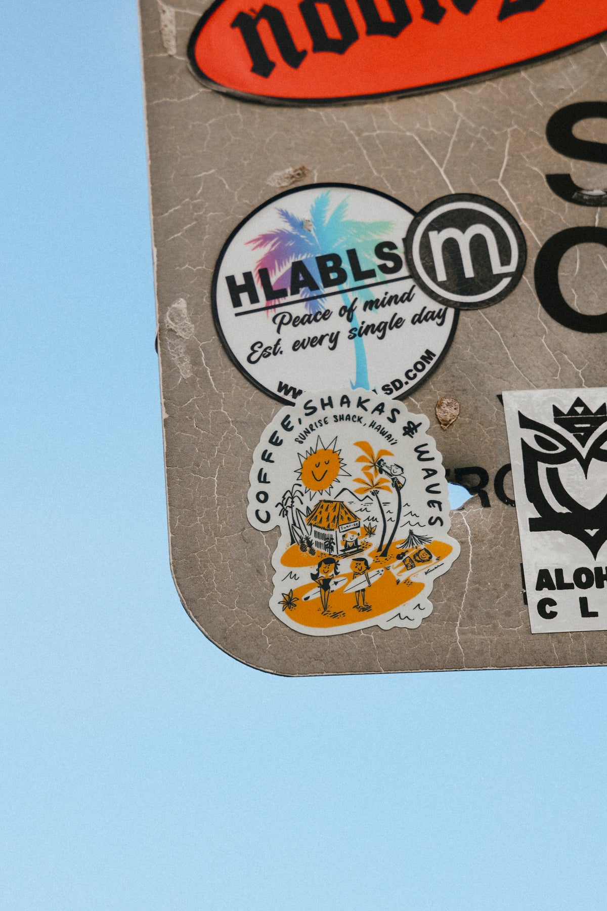 COFFEE SHAKAS WAVES STICKER ☕🤙🌊 *LIMITED EDITION*