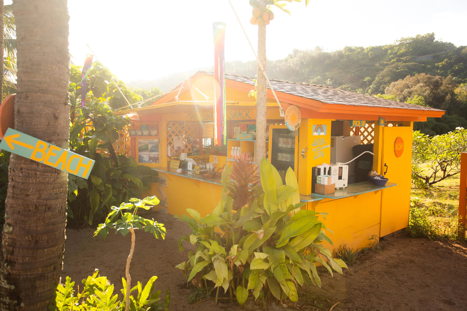 The Ultimate Sunrise Shack Tour