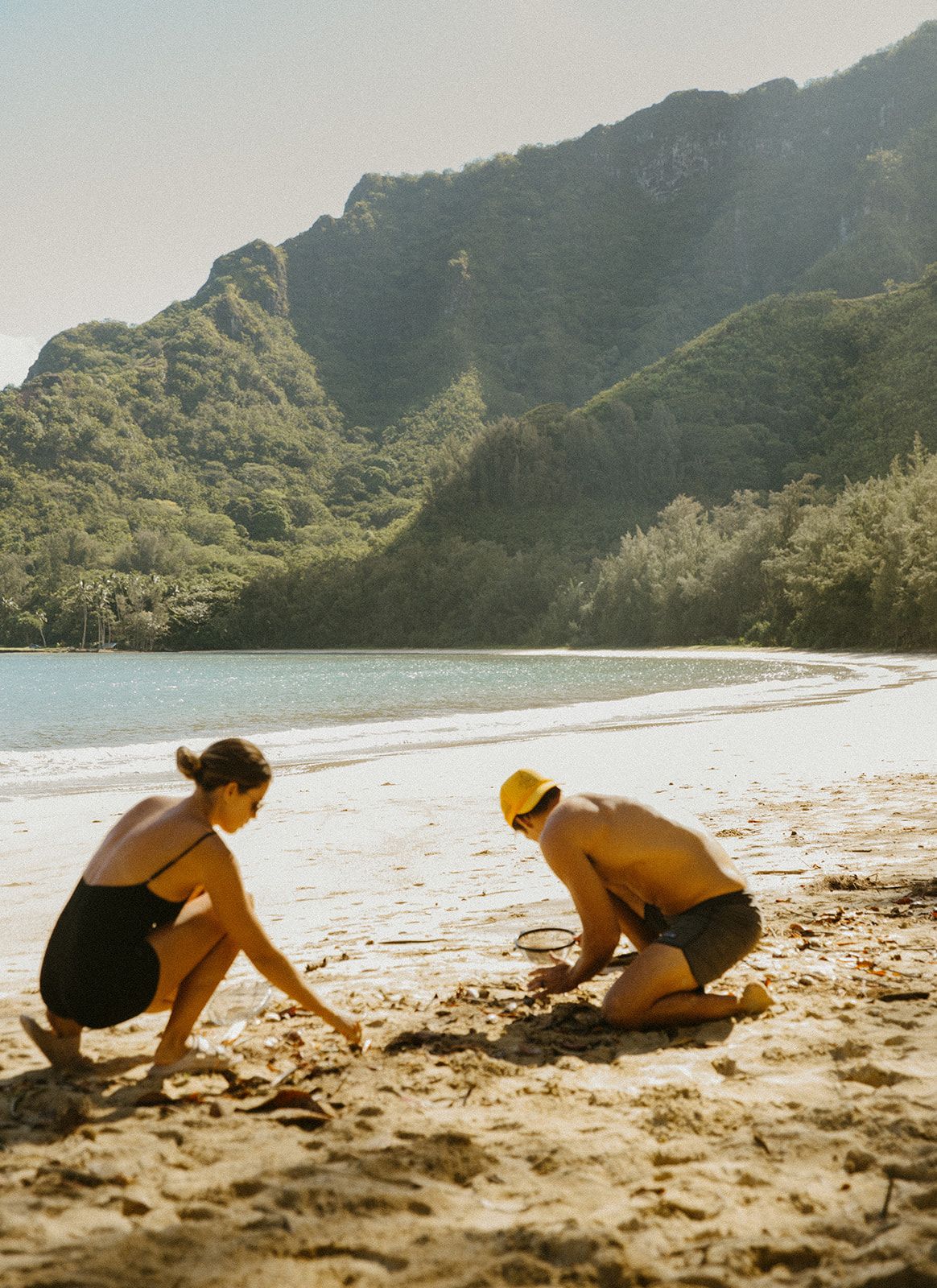 Sustainability at Sunrise Shack: Our Environmental Commitment