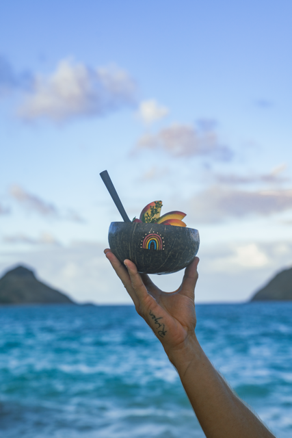 RAINBOW &quot;COCONUT BOWLS&quot; X SUNRISE SHACK