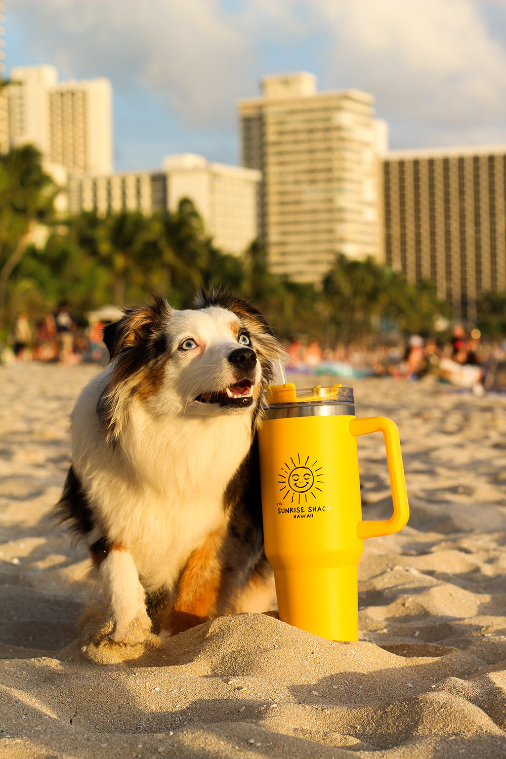 LOGO TRAVEL MUG WITH STRAW LID ☀️ YELLOW  *LIMITED EDITION*