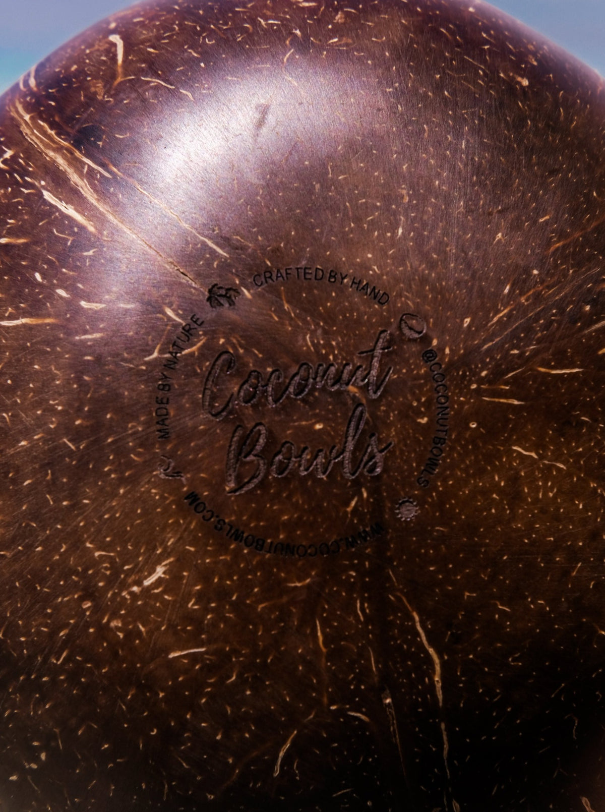 detailed picture of coconut bowl